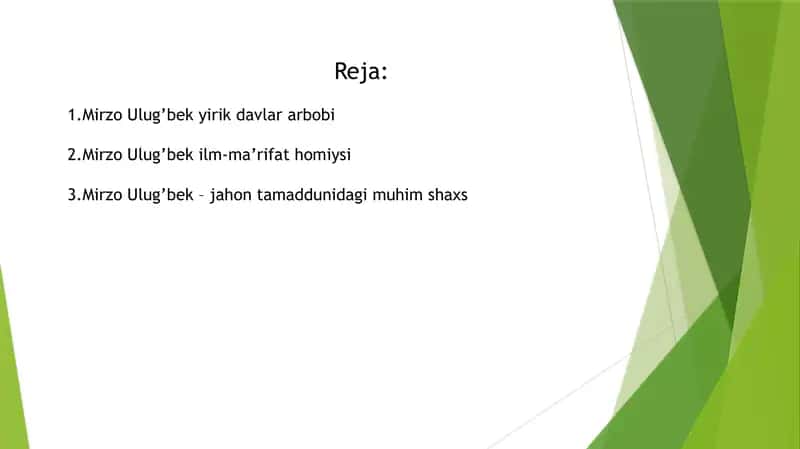 Mirzo Ulug'bek 2
