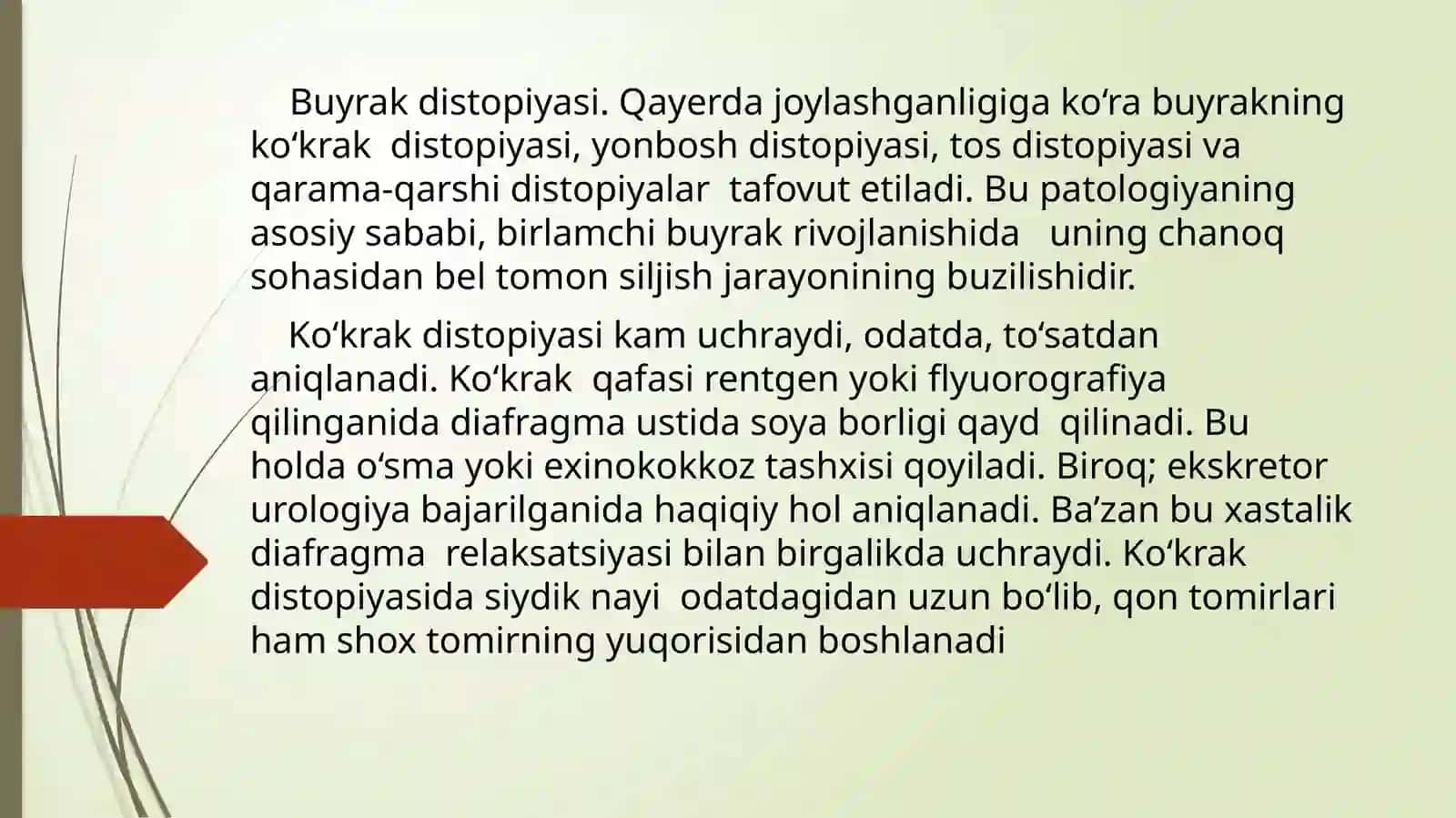 BUYRAKLARNING TUG’MA VA ORTTIRILGAN DISTOPIYASI 2