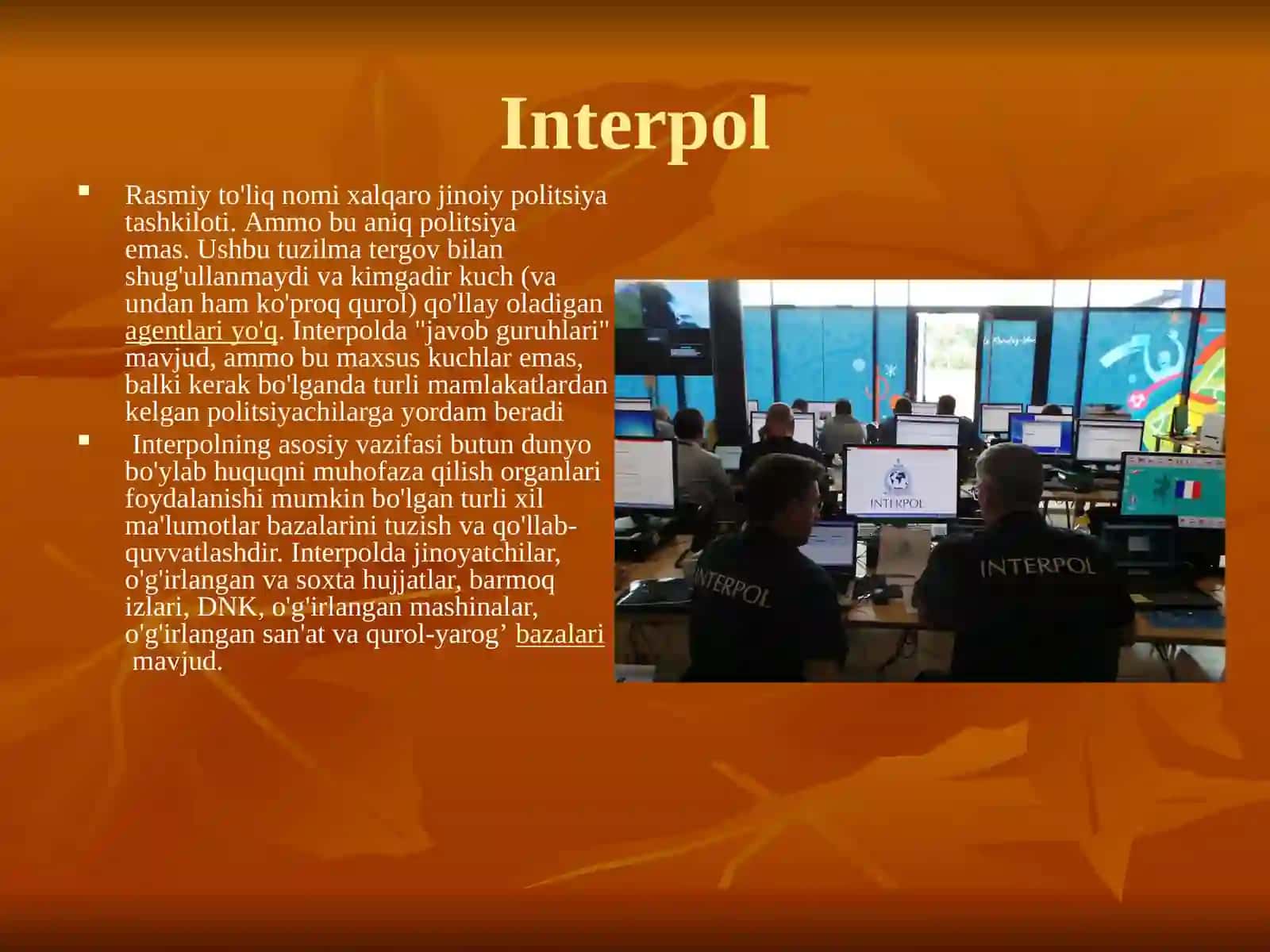 Interpol Rasmiy to'liq nomi xalqaro jinoiy politsiya tashkiloti 2