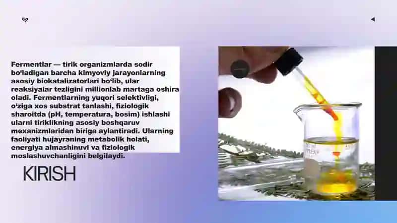Fermentlarning ahamiyati. 2