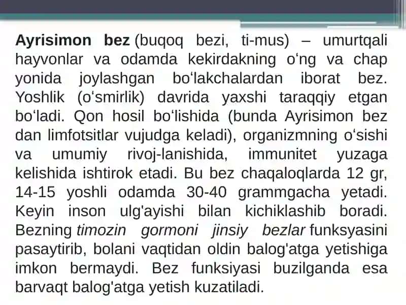 Ayrisimon bezlar haqida tushuncha 2