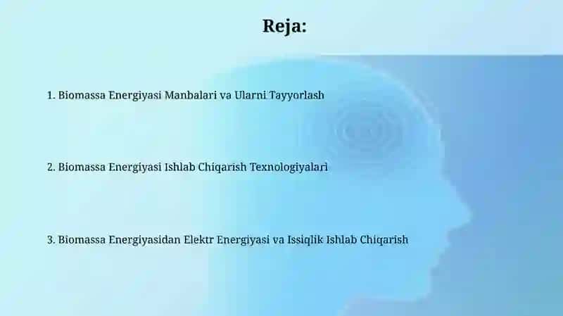 Biomassa energiya ishlab chiqarish texnologiyalari 2