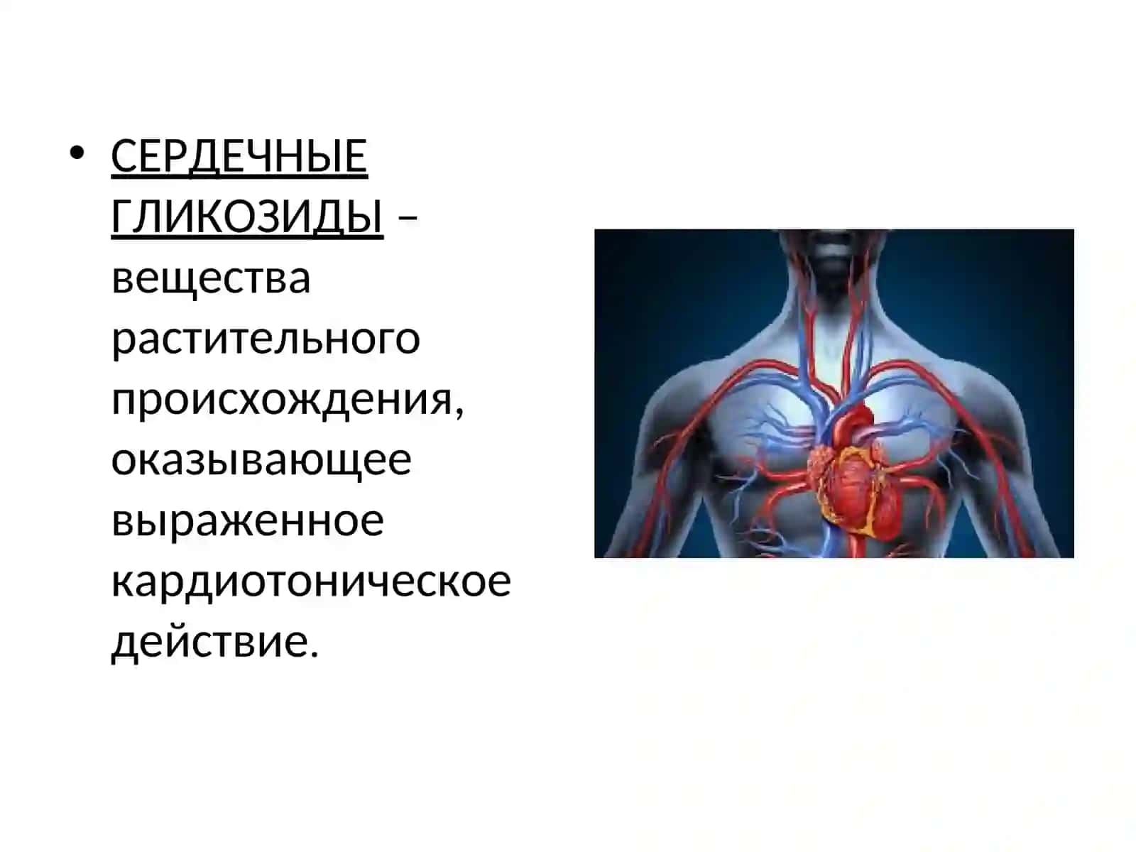 СЕРДЕЧНЫЕ ГЛИКОЗИДЫ 2