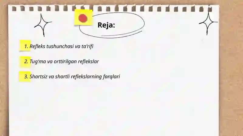 Reflekslar haqida tushuncha 2