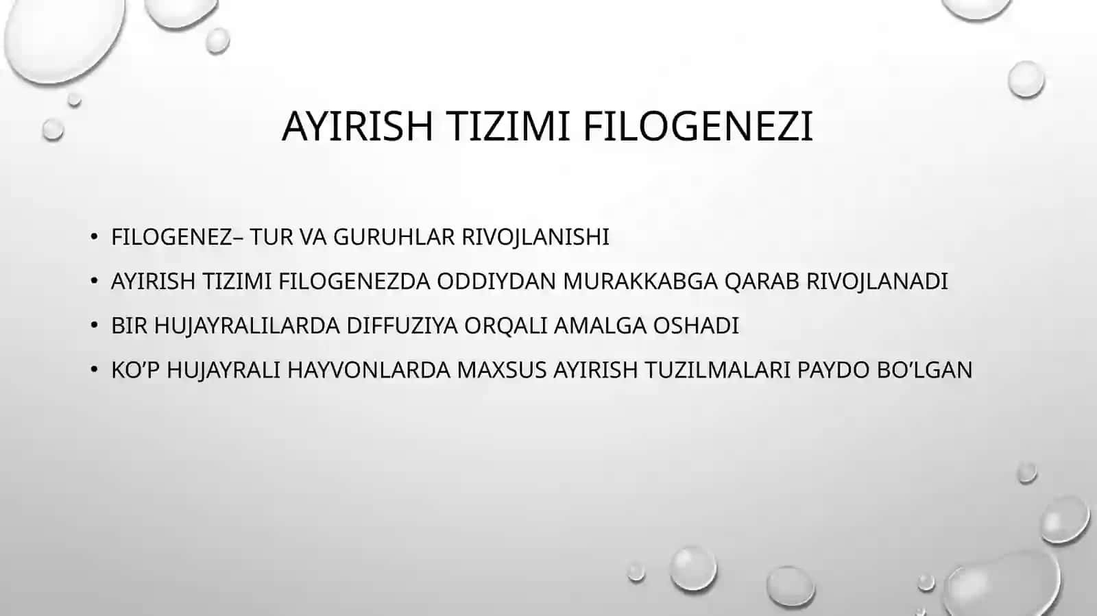 Ayirish tizimi onto-filogenezi 2