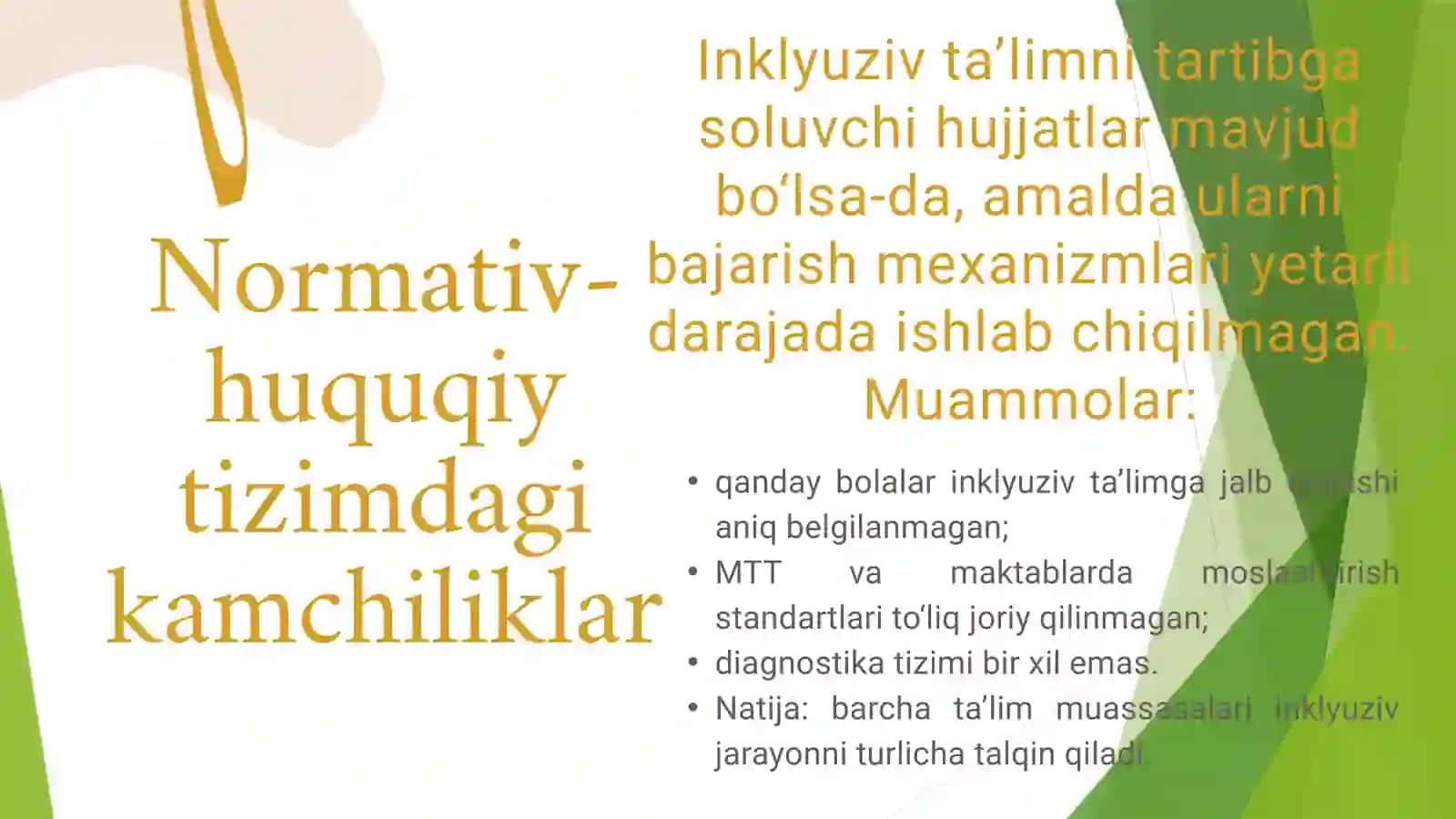Inklyuziv ta’lim muammolari 2