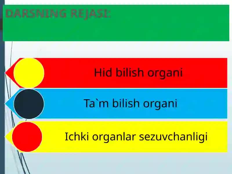 HID BILISH VA TA`M BILISH ORGANLARI 2