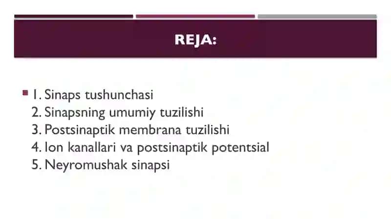 Sinapslarning tuzilishi va ishlash mexanizmlari 2