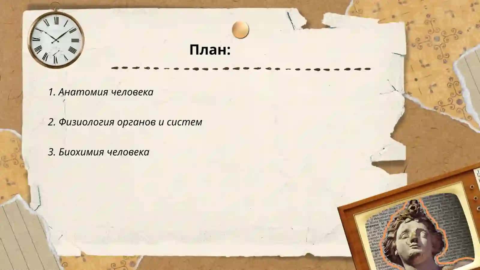 Анатомия человека 2