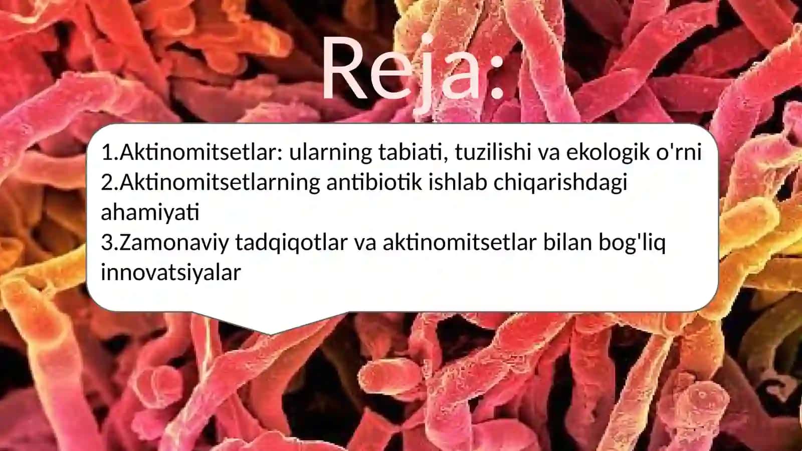 Aktinomidsitlarning sanoatda va qishloq xoʻjaligida ahamiyati 2