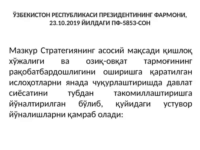 Мазкур стратегия 2
