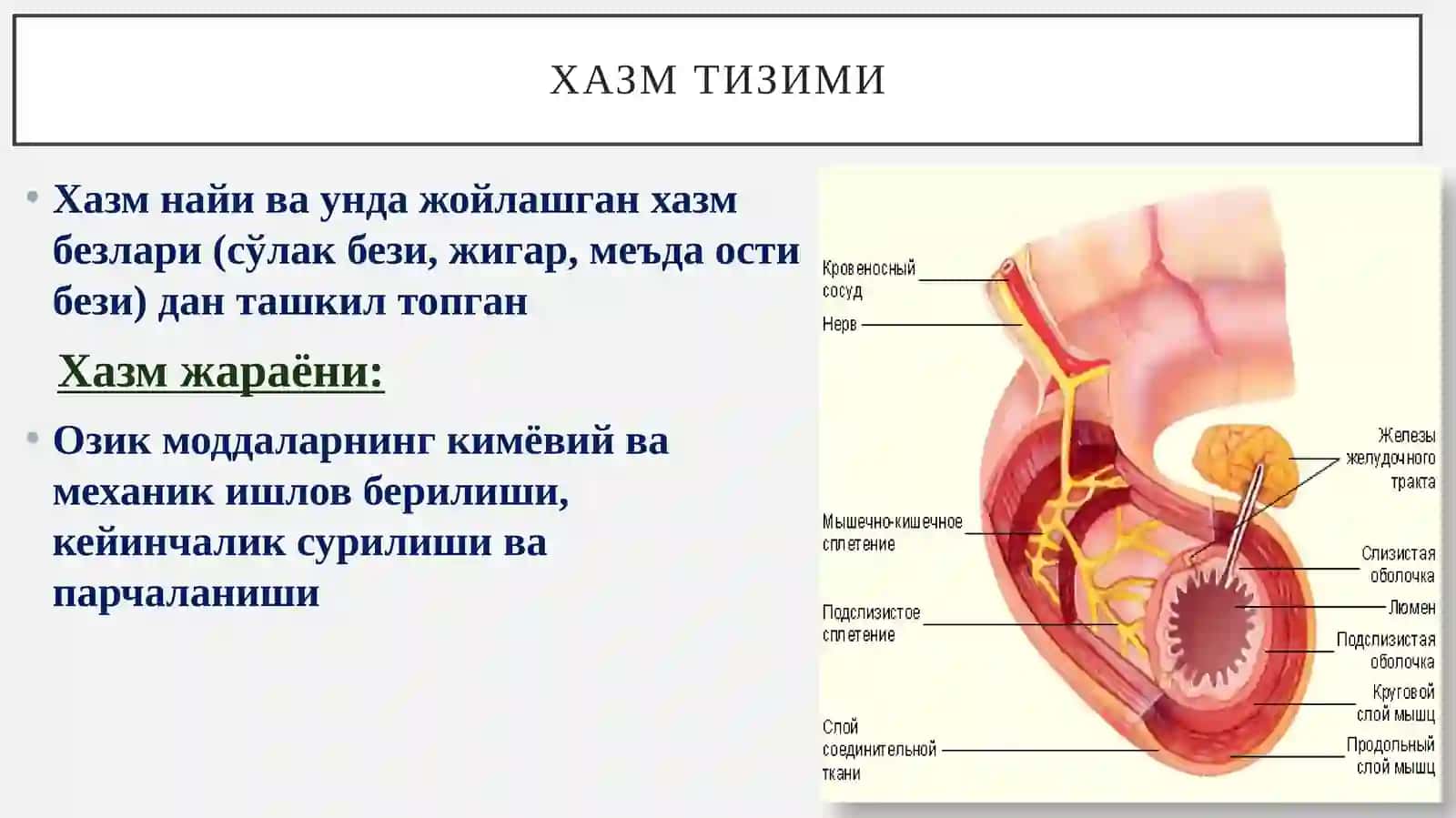 Хазмтизими 2