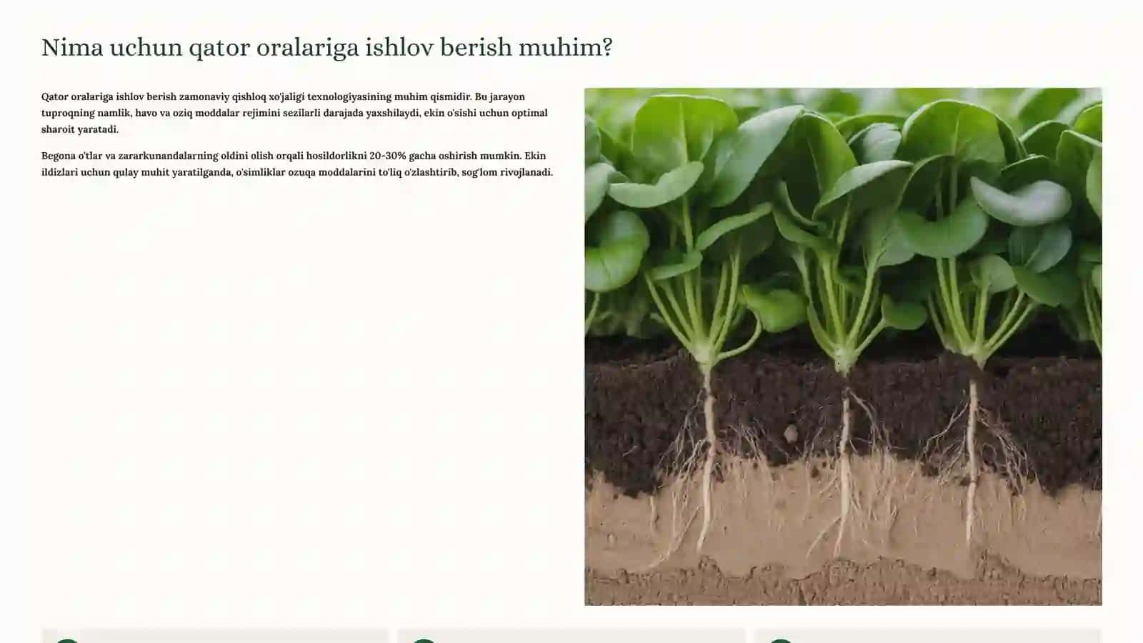 Qator Oralariga Ishlov Berish 2