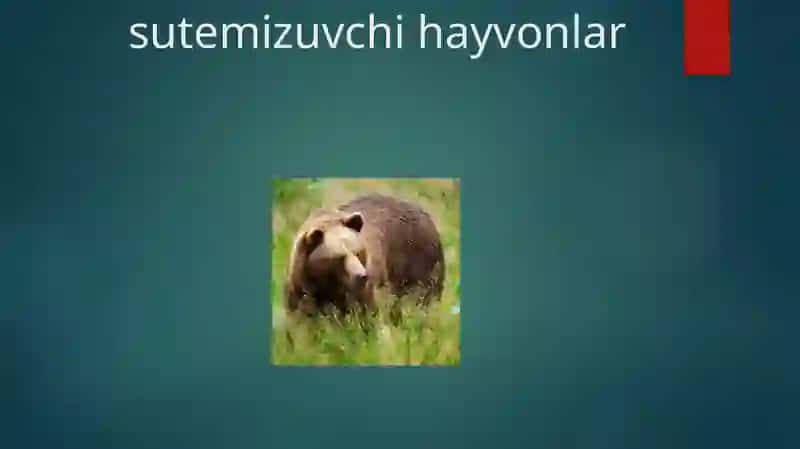 HAYVONLAR SISTEMATIKASINI O‘RGANISH 2