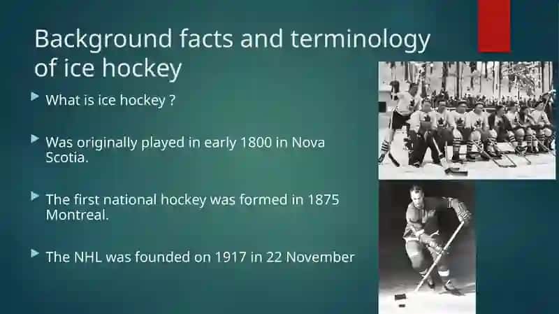 Background facts and terminology of ice hockey 2