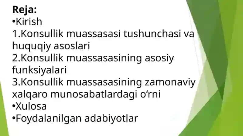 Konsullik muassasasi funksiyalari 2