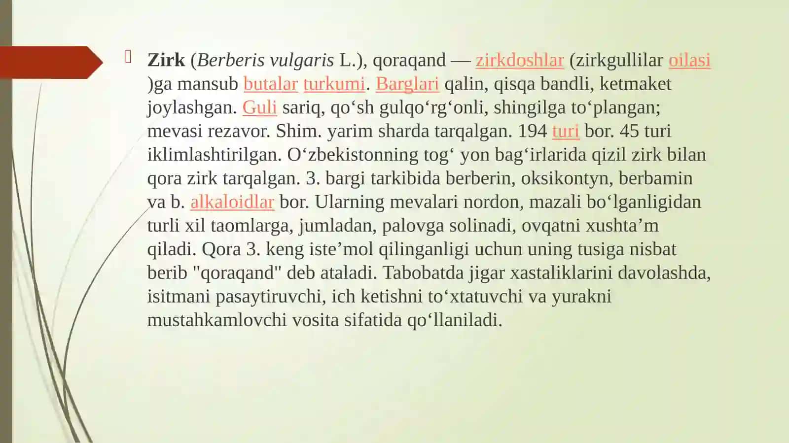 Zirk o`simligi haqida 2