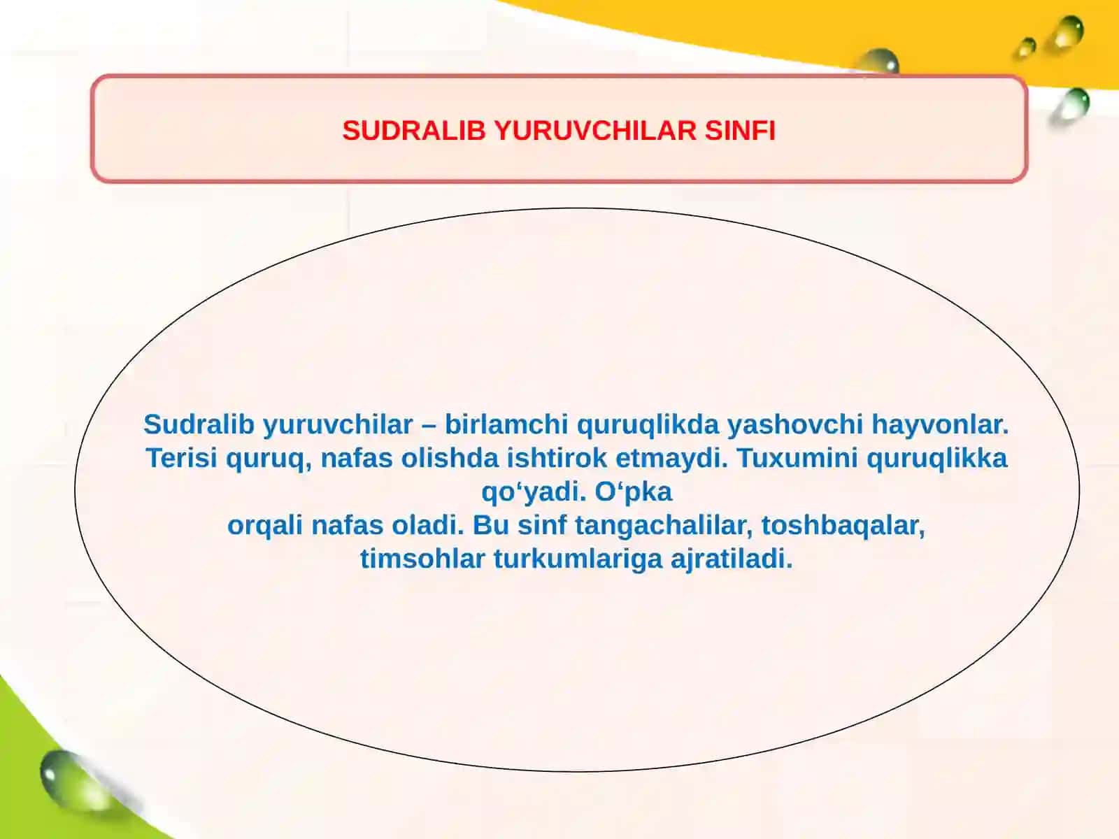 Reptilyalar-sudralib yuruvchilar 2