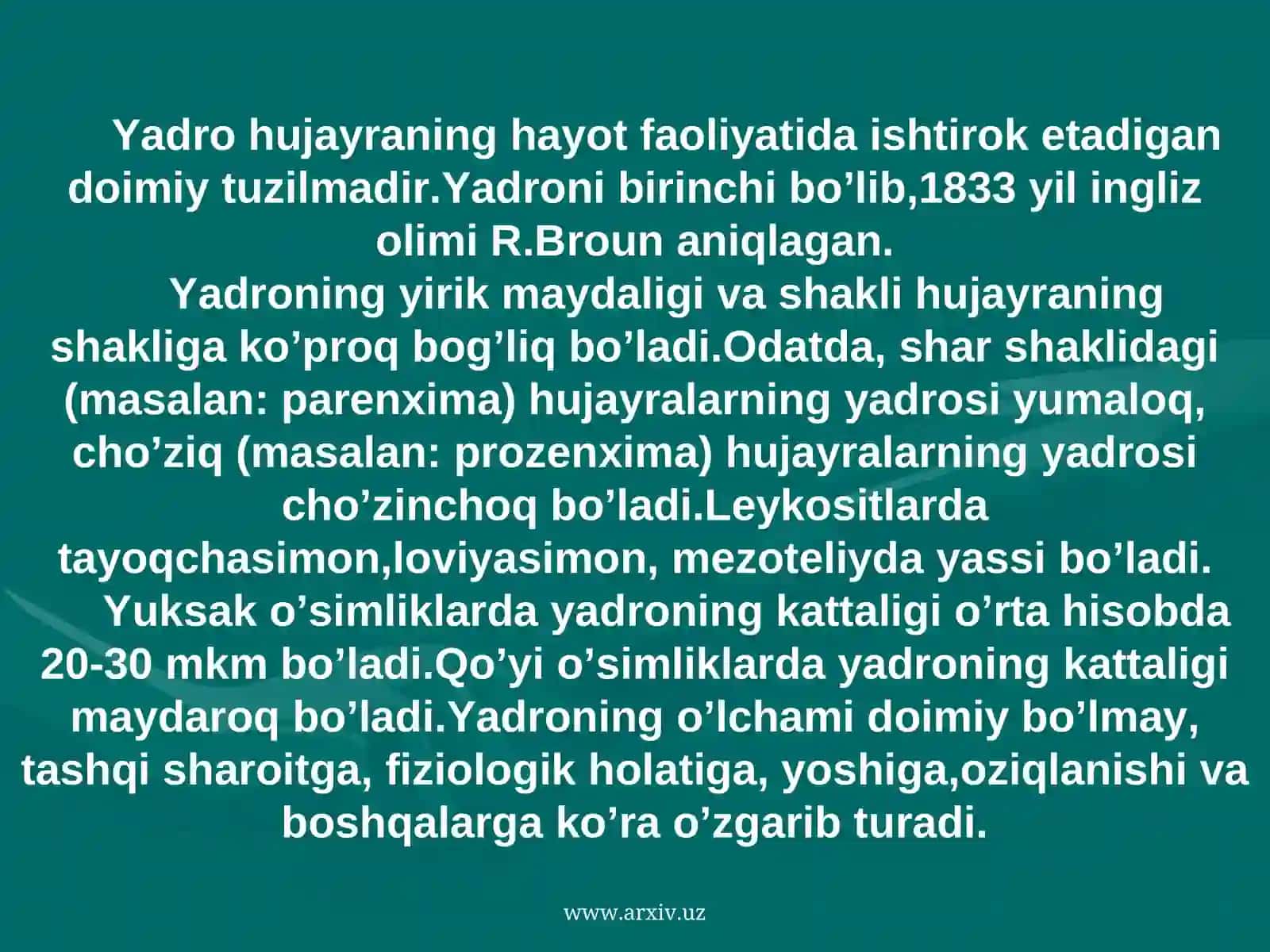 Hujayra yadrosi. Yadrocha 2