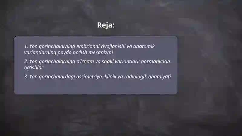 Yon qorinchalarning variant anatomiyasi klinik ahamiyati 2