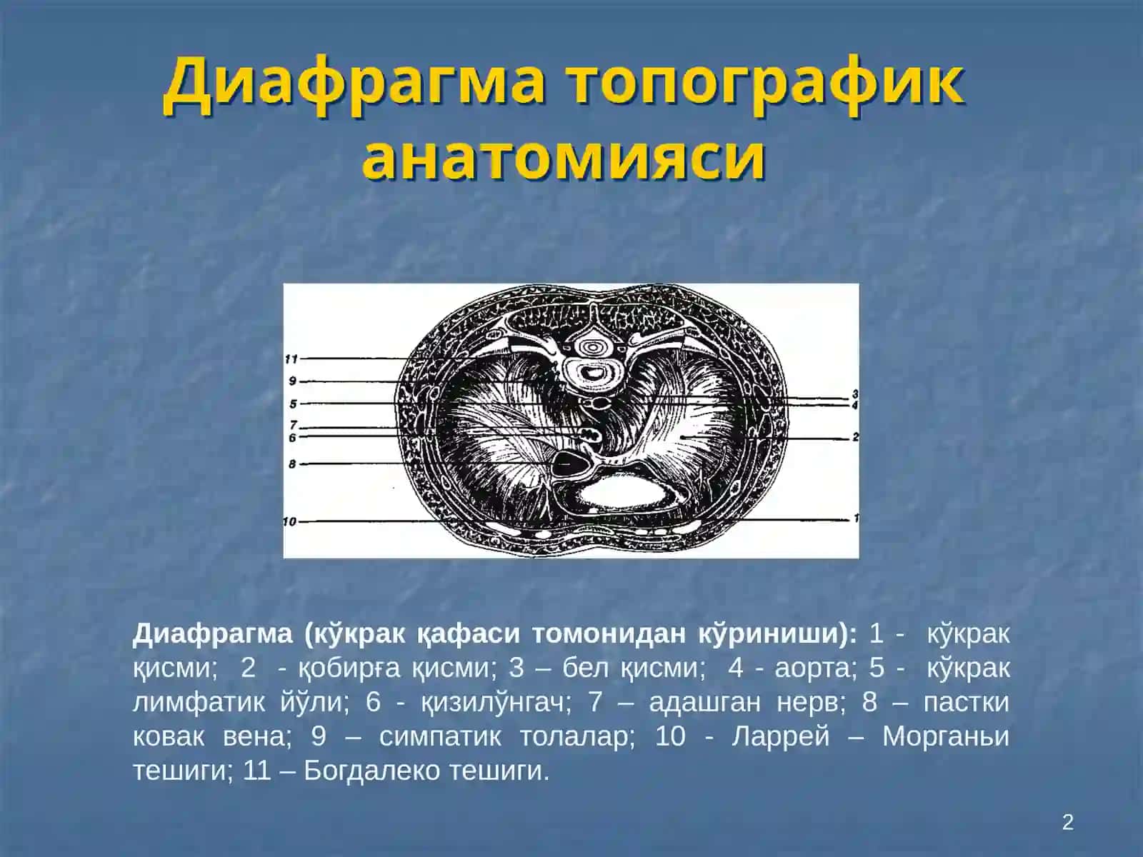 Диафрагма касалликлари 2
