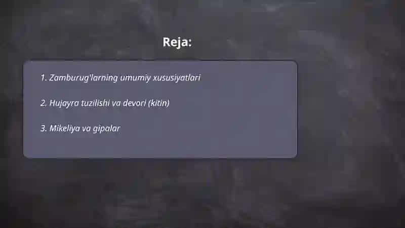 Zamburug'lar bo'limi 2