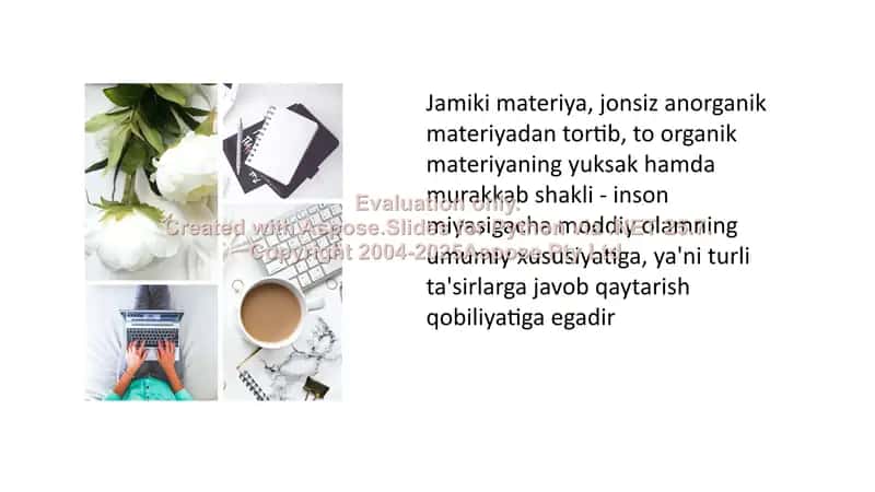 Psixikaning filogenetik taraqqiyoti 2