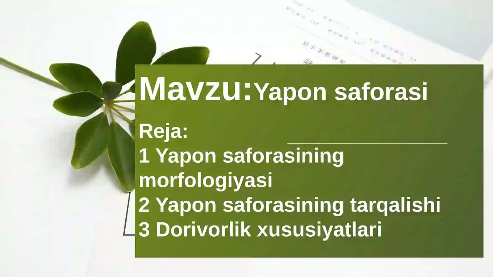 Yaponsaforasi 2
