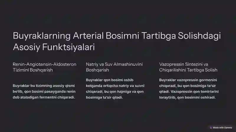 Arterial Bosimni Boshqarishda Buyraklarning Ro‘li 2
