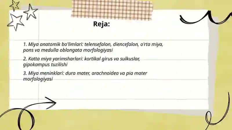 Miya orqa miyaning morfologiyasi 2