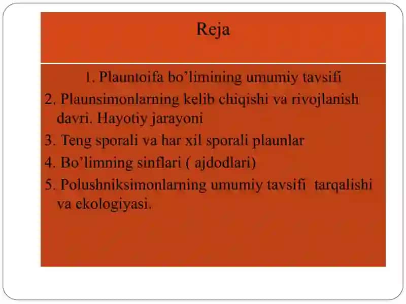 Plauntoifa — Lycopodiophyta bo’limi 2