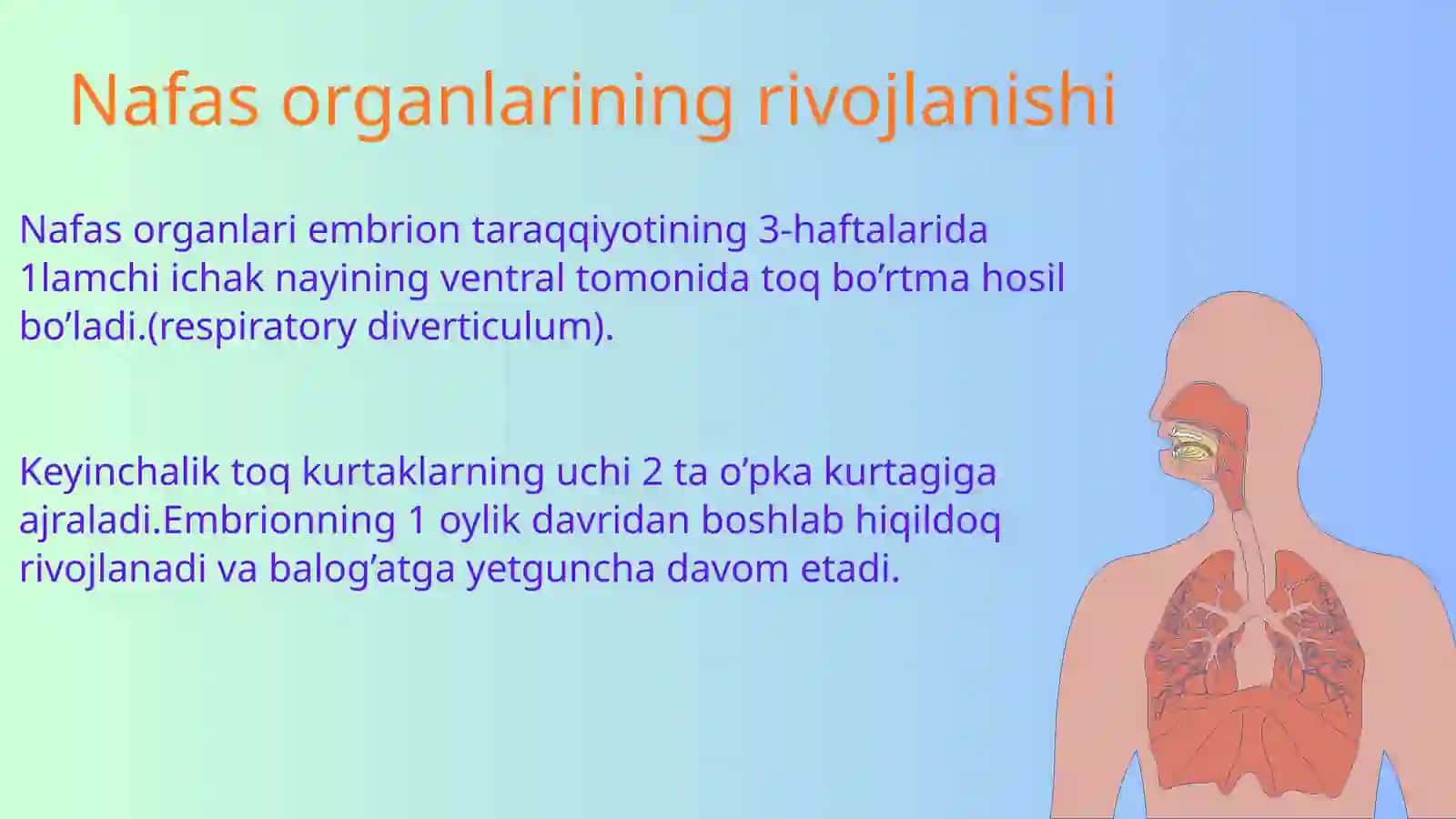 Nafas olish sistemasi va hiqildoq 2