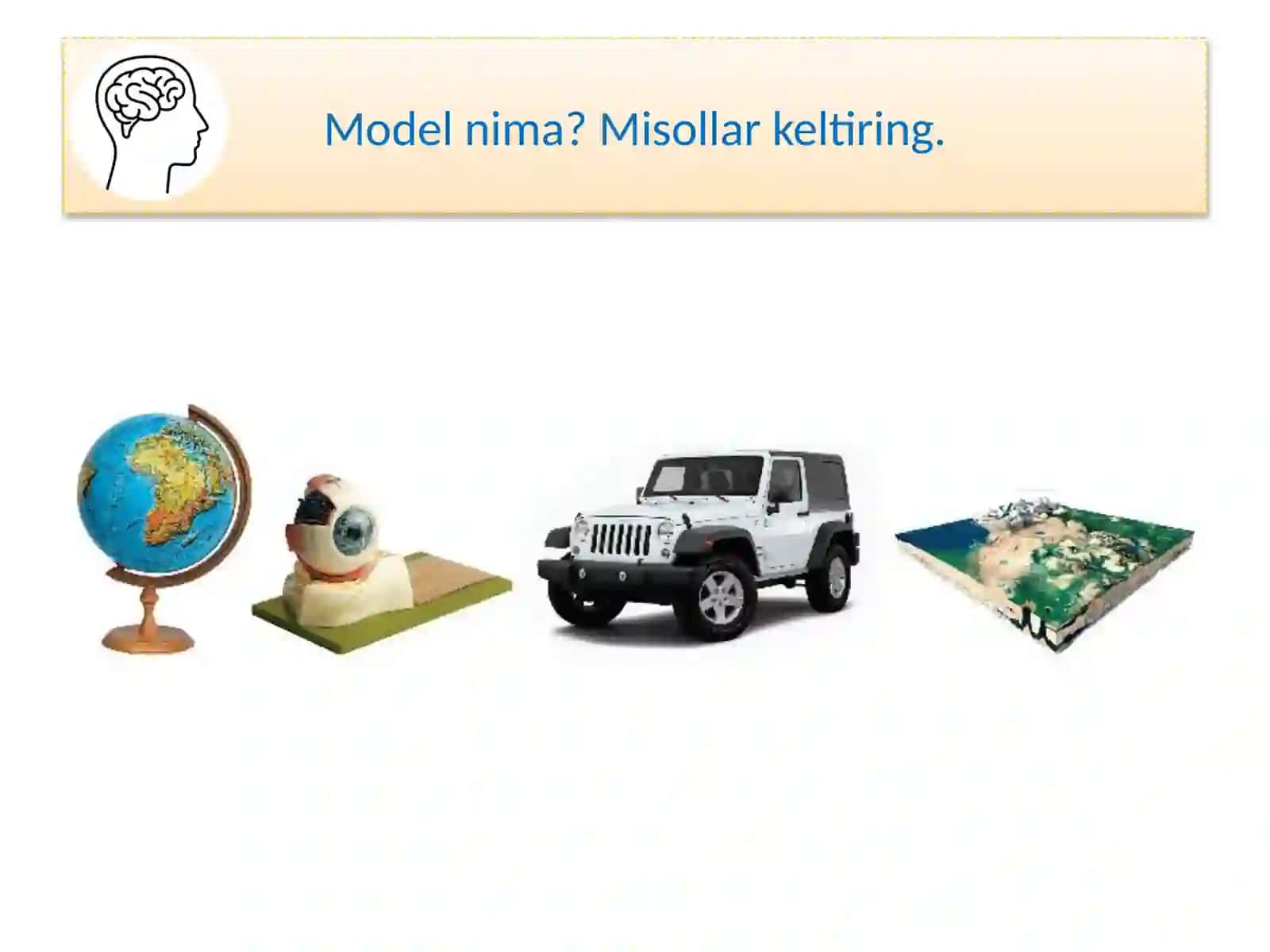 Ekosistema modelini yasash 2