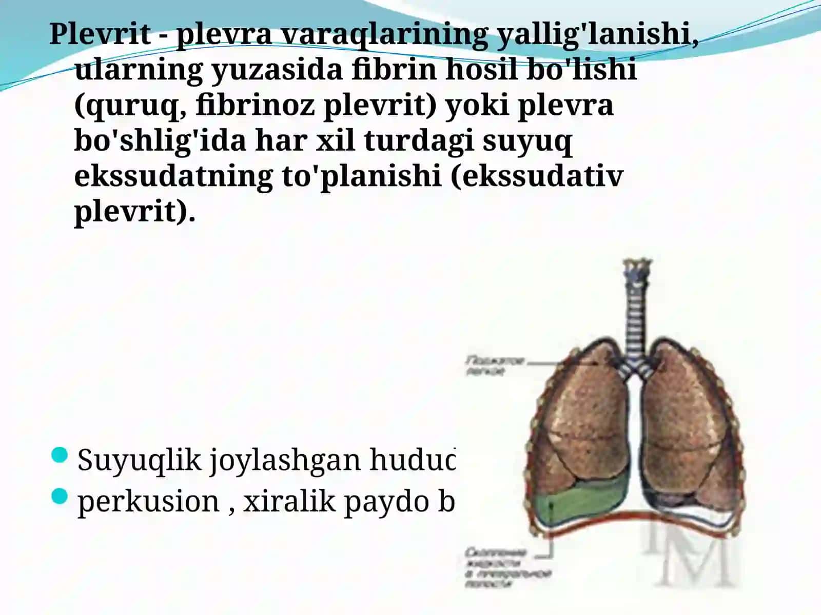 Plevrit 2