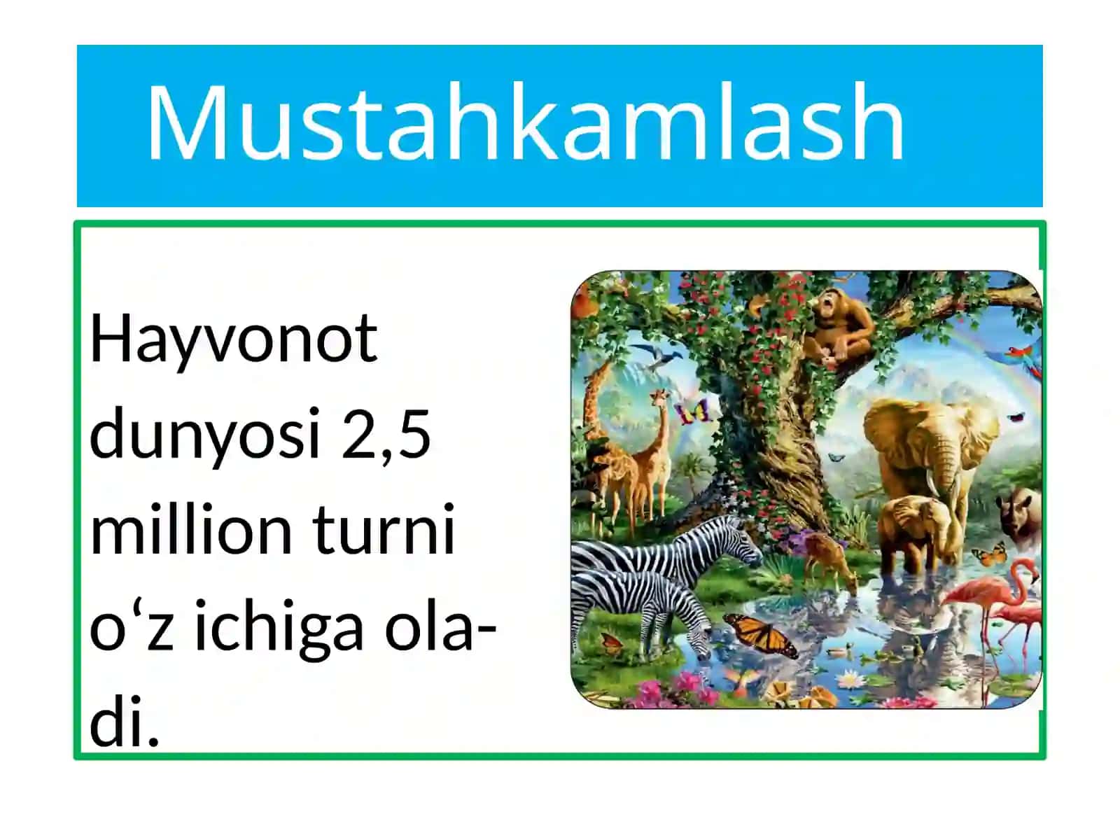 Umurtqasiz hayvonlar 2
