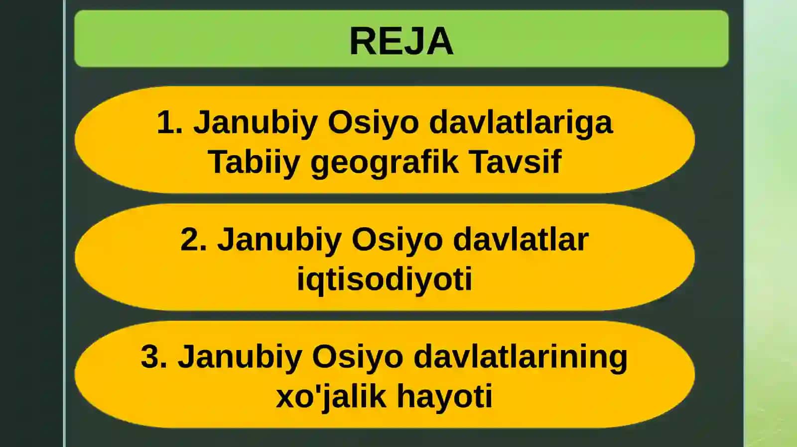Janubiy Osiyo davlatlari 2