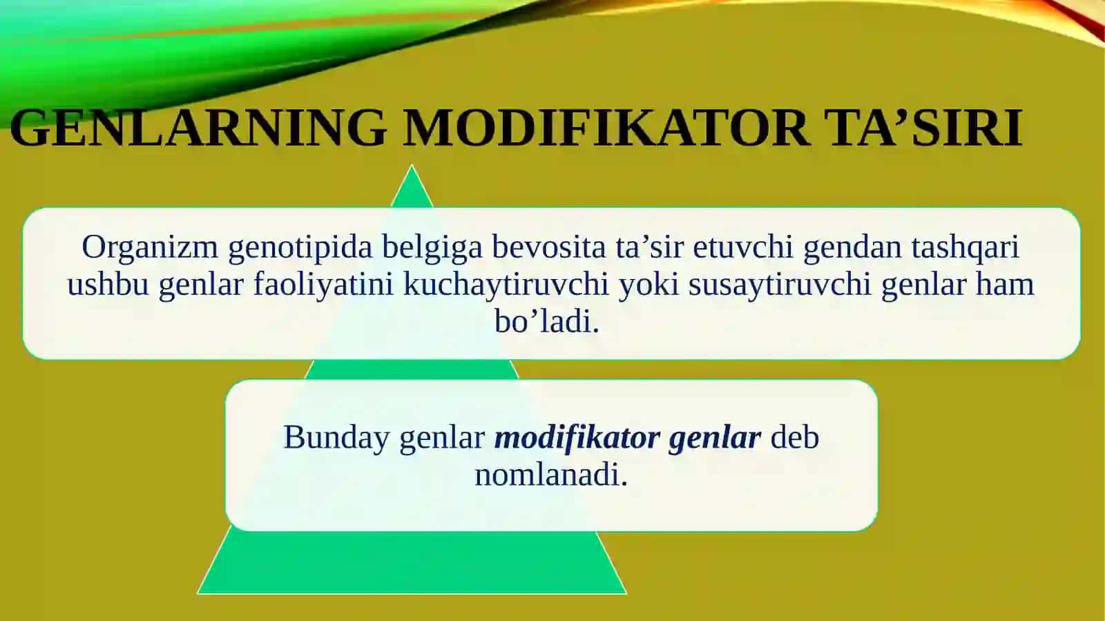 Genlarning modifikatorta’siri 2