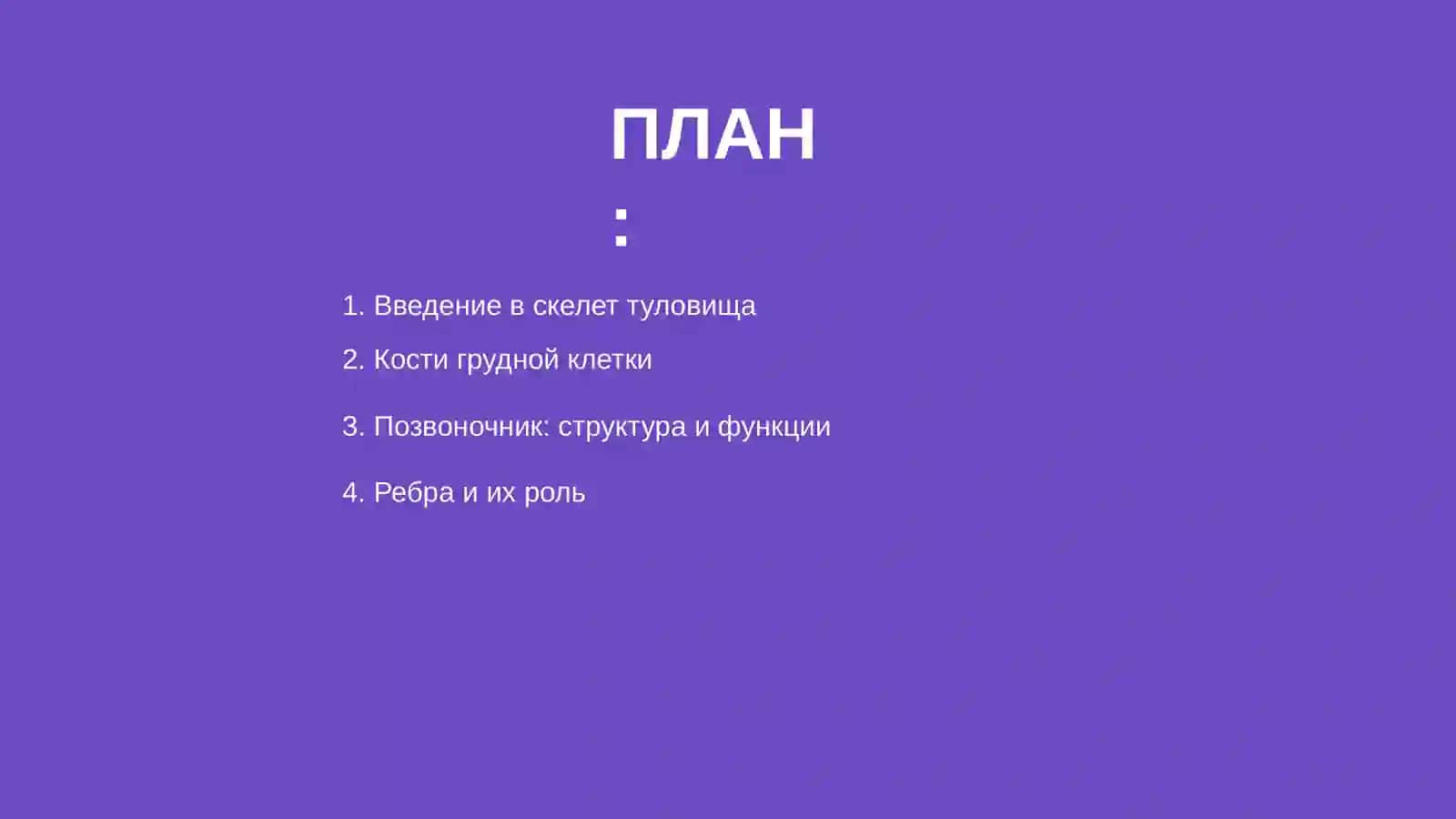 Скелет туловища 2