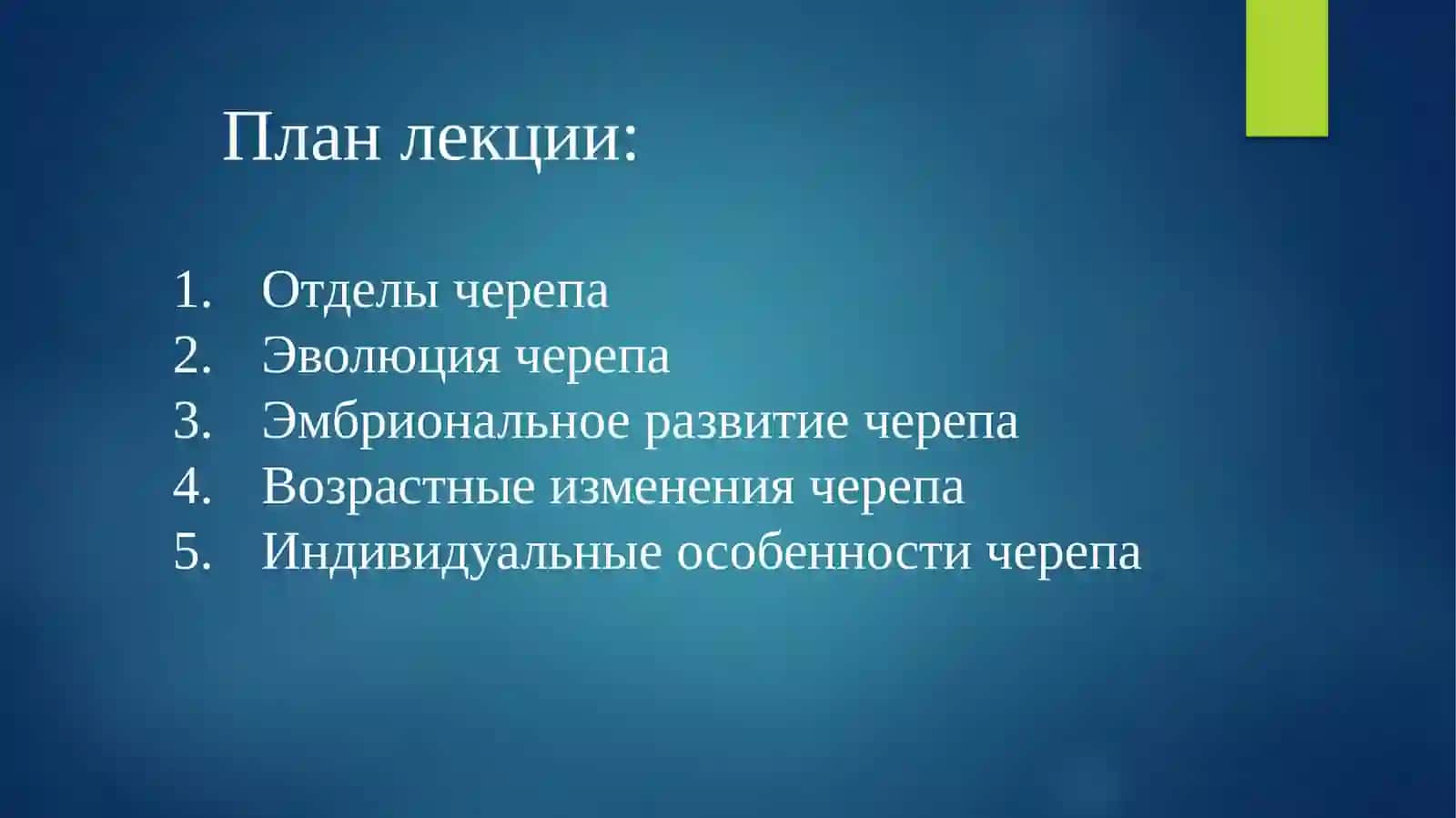 Череп 2