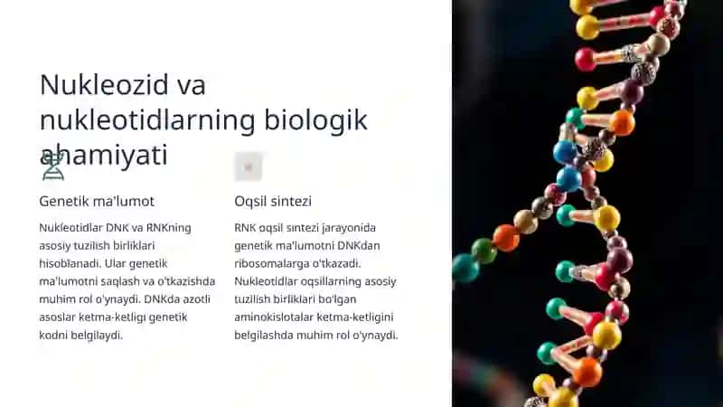 Nukleozidlar va Nukleotidlar 2