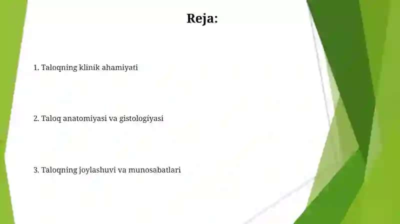 Taloqning tuzilishi va joylashuvi 2