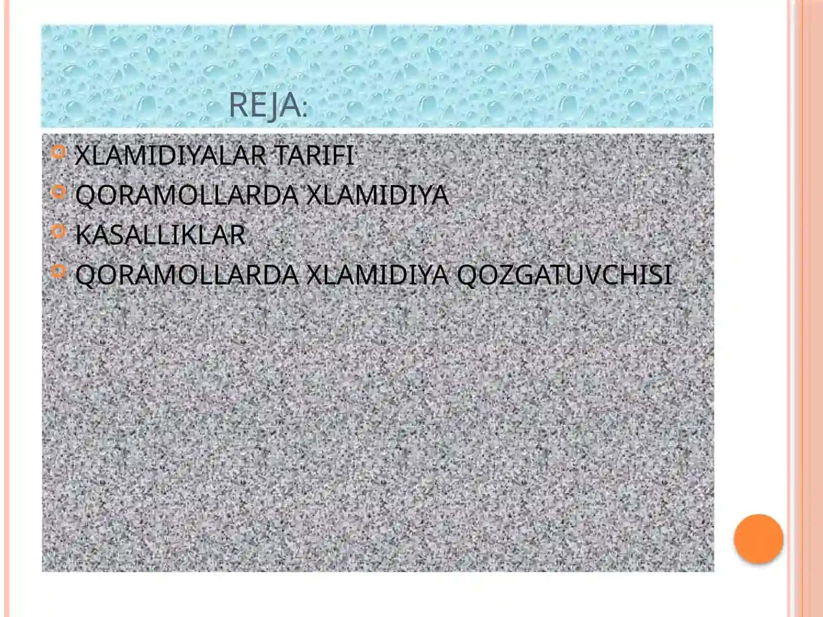 XLAMIDIYALAR TARIFI 2