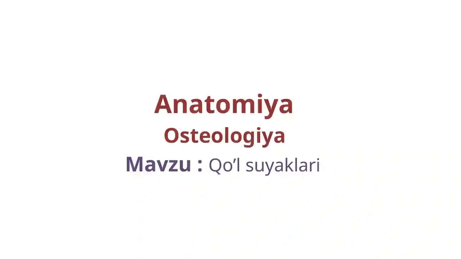 Qo’lsuyaklari 2