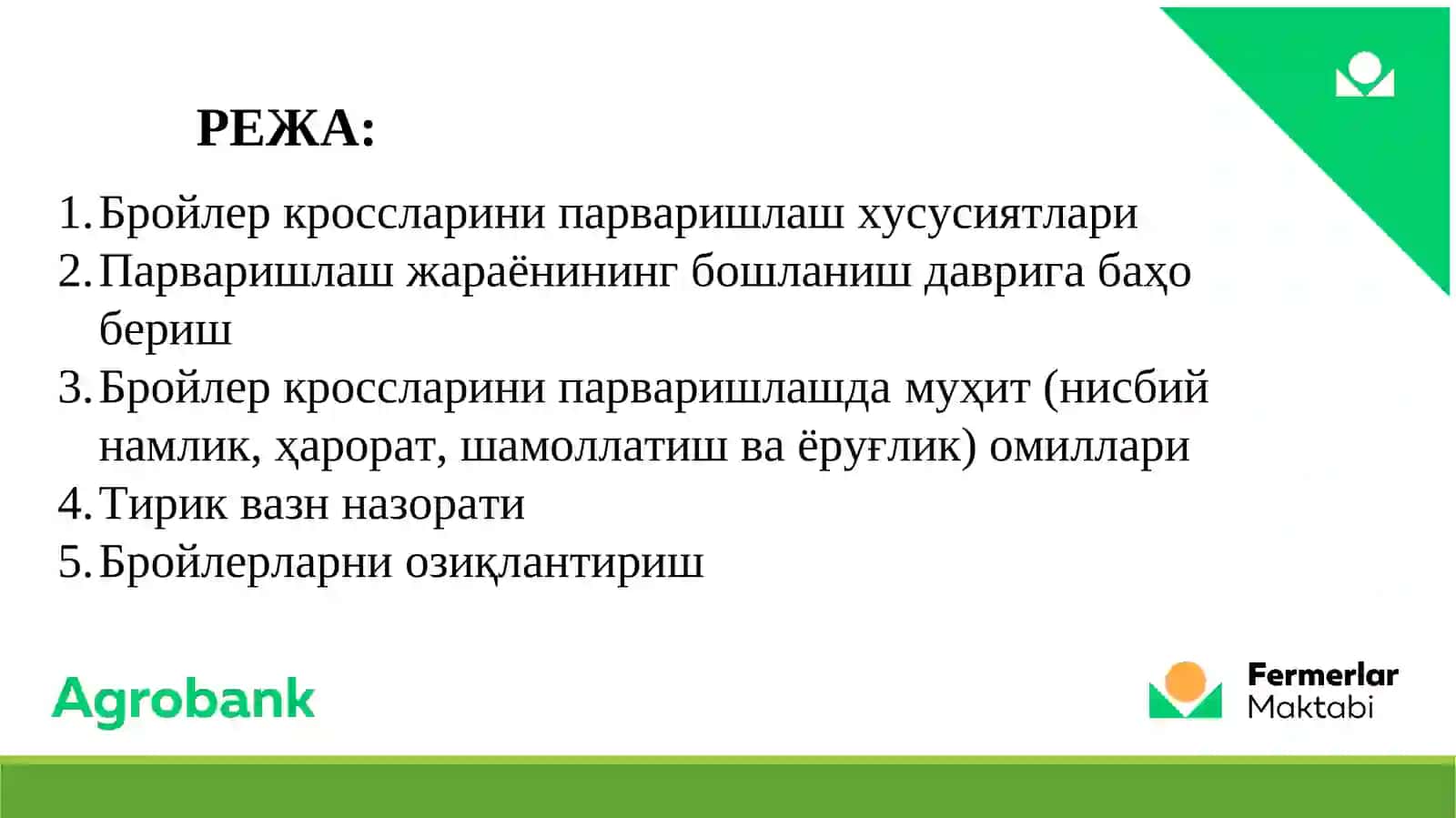 Бройлер жўжаларни ўстириш 2