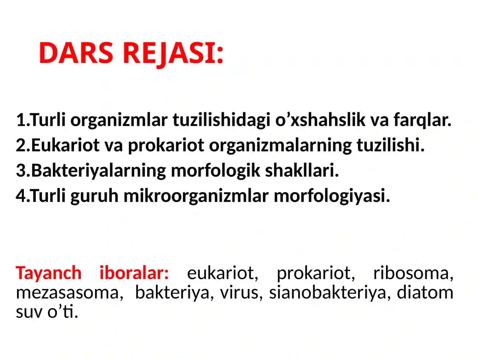 Toshkent-2022 2