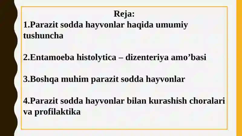 Parazit Sodda Hayvonlar va Muhim Vakillari Entamoeba Histolytica 2
