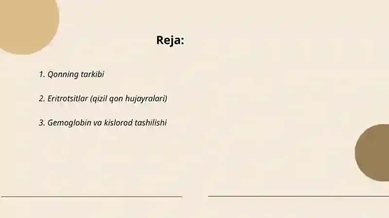 Qon 2