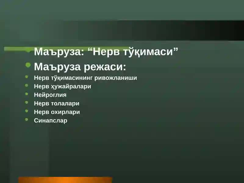 Нерв тўқимаси 2