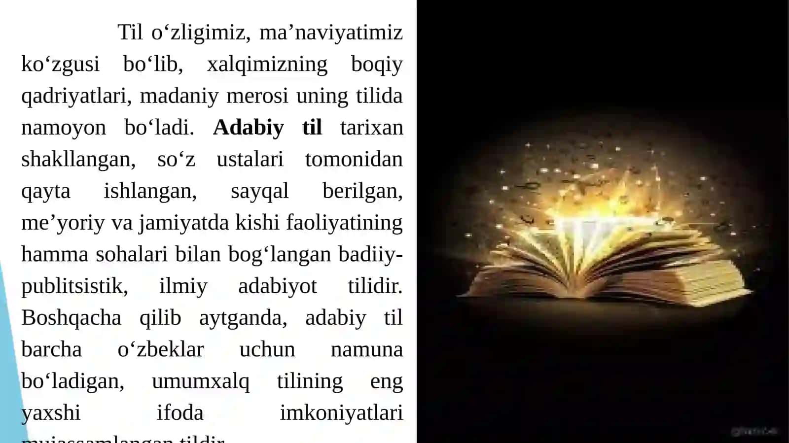 Adabiy til va uning meyorlari 2