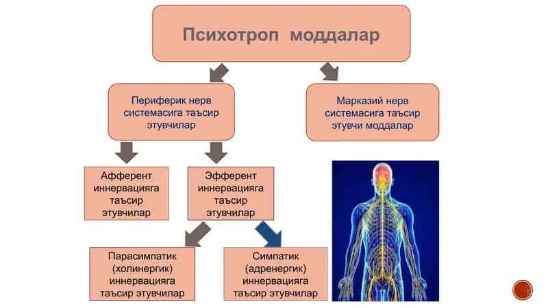 Xolinergik moddalar farmokolgiyasi 2